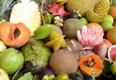 Get more nutrition in every bite Get more nutrition in every bite